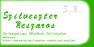 szilveszter meszaros business card