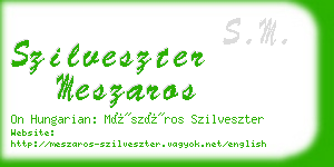 szilveszter meszaros business card